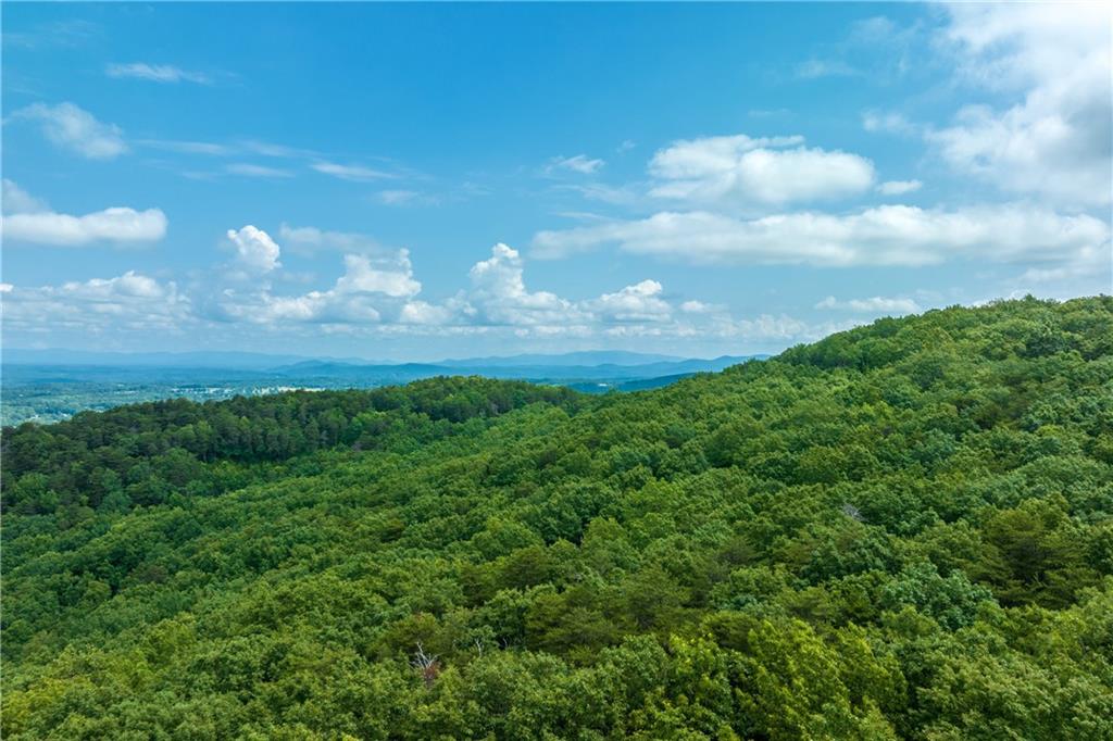 206 R Mystic Trail Lane Jasper, GA 30143 - Photo 14 of 38