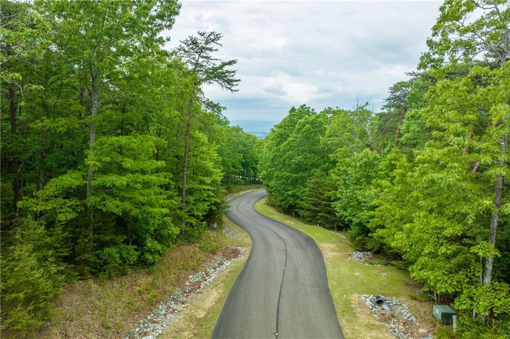 206 R Mystic Trail Lane Jasper, GA 30143 - Photo 15 of 38 a view of street view with outdoor space