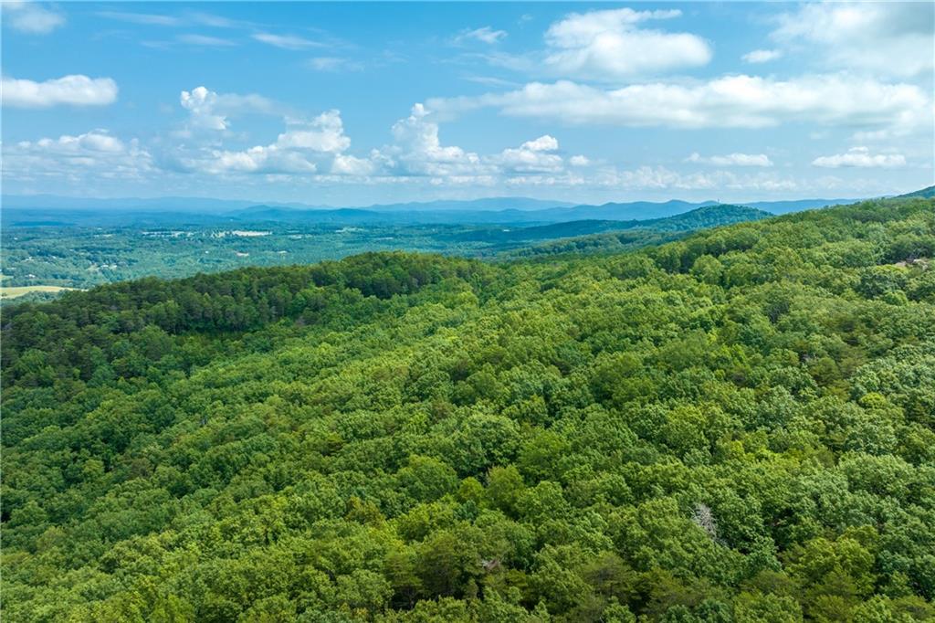206 R Mystic Trail Lane Jasper, GA 30143 - Photo 17 of 38 a view of a big yard with lots of green space