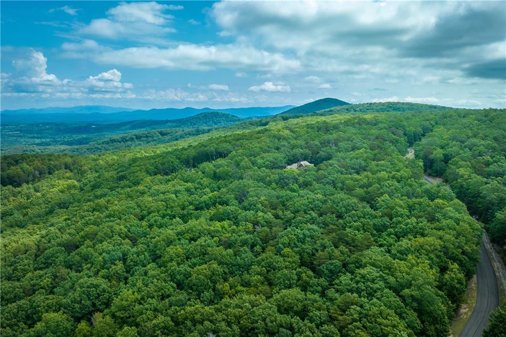 206 R Mystic Trail Lane Jasper, GA 30143 - Photo 20 of 38 a view of a big yard with lots of green space