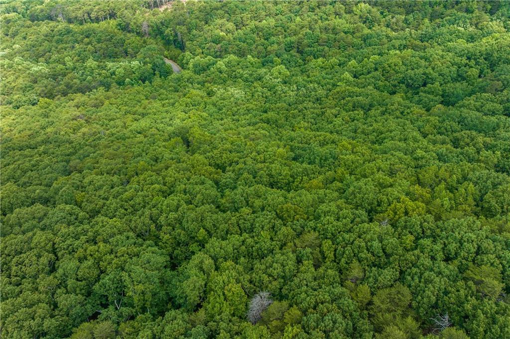 206 R Mystic Trail Lane Jasper, GA 30143 - Photo 22 of 38 a view of a lush green forest