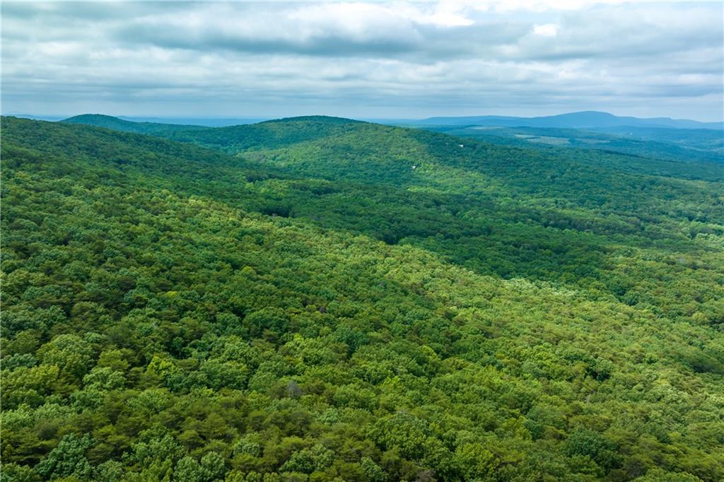 206 R Mystic Trail Lane Jasper, GA 30143 - Photo 23 of 38 a view of a big yard with plants and large trees