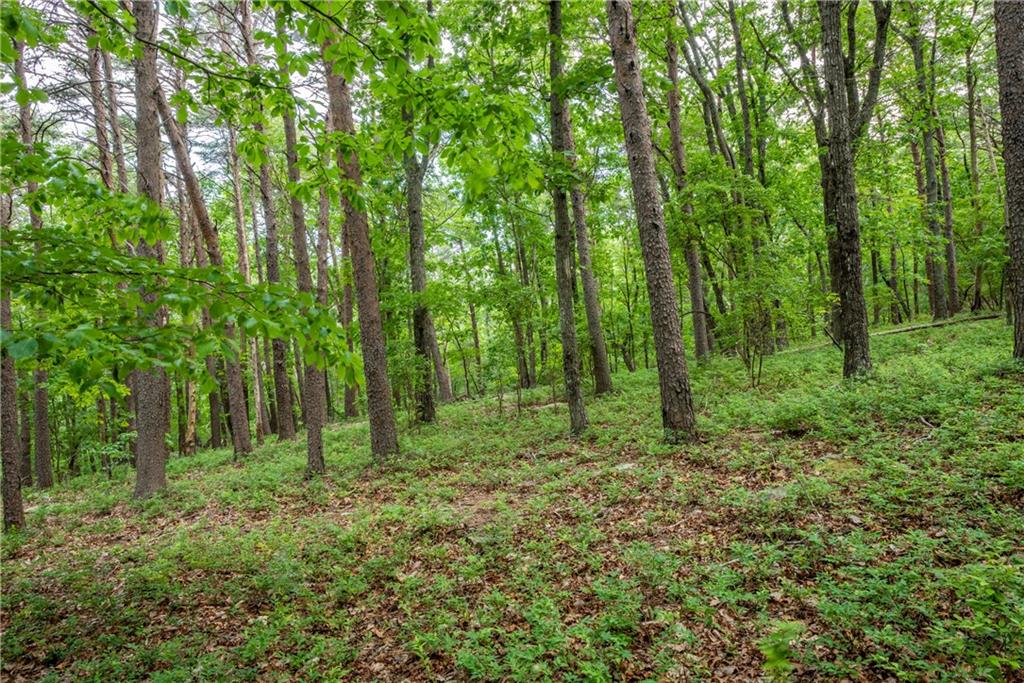 206 R Mystic Trail Lane Jasper, GA 30143 - Photo 3 of 38 a view of outdoor space and green space