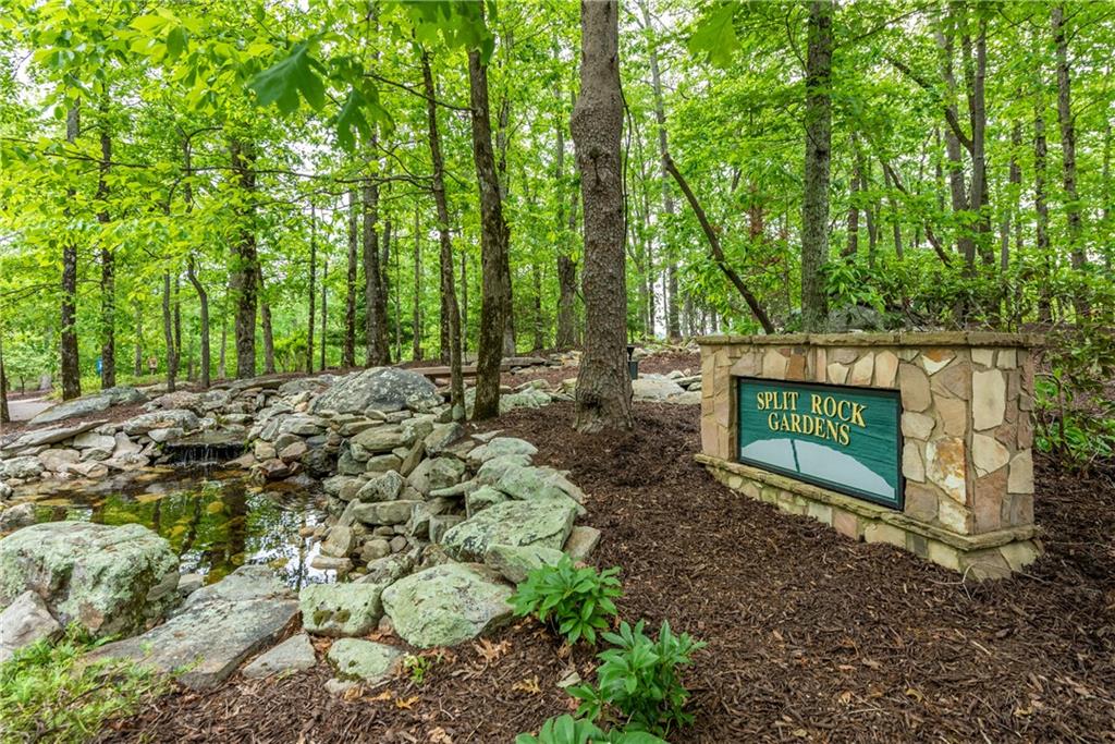 206 R Mystic Trail Lane Jasper, GA 30143 - Photo 33 of 38 a view of a yard with large trees