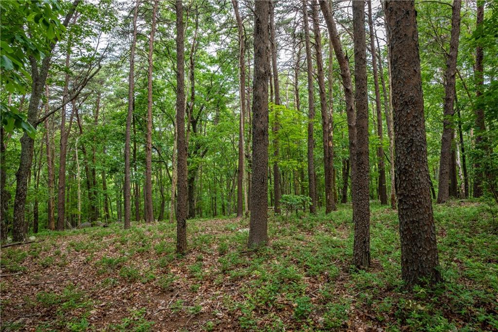 206 R Mystic Trail Lane Jasper, GA 30143 - Photo 4 of 38 a view of outdoor space and green space