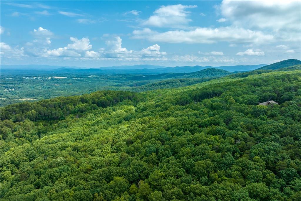 206 R Mystic Trail Lane Jasper, GA 30143 - Photo 6 of 38 a view of a big yard with lots of green space