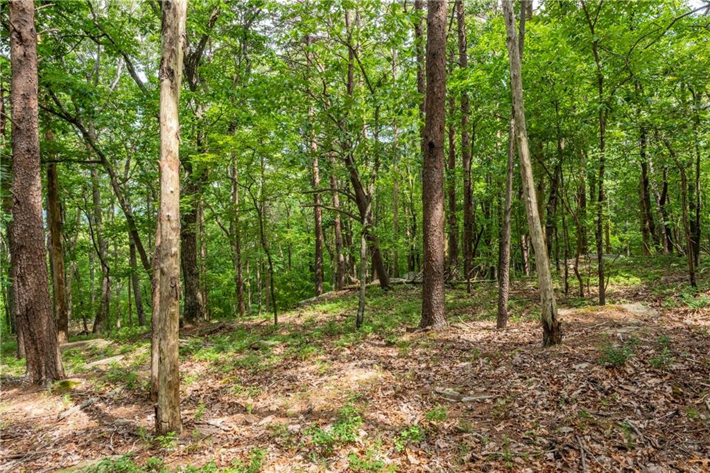 206 R Mystic Trail Lane Jasper, GA 30143 - Photo 7 of 38 a view of outdoor space and trees