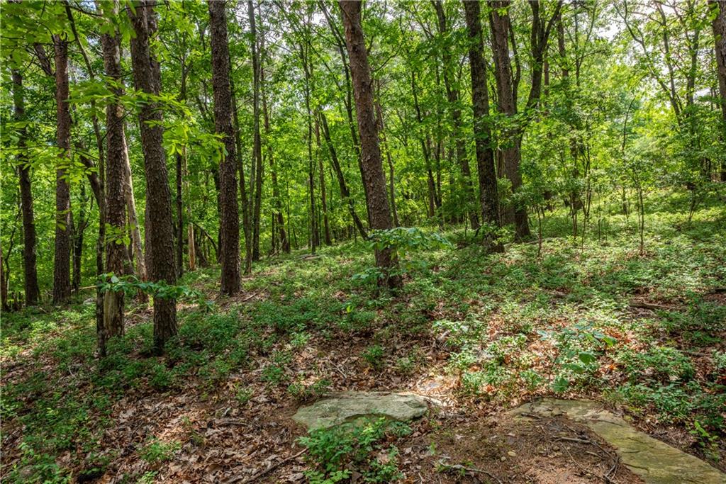 206 R Mystic Trail Lane Jasper, GA 30143 - Photo 9 of 38 a view of outdoor space and green space