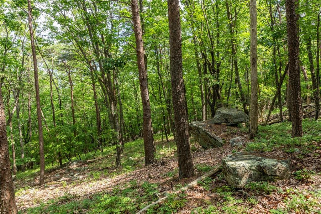 206 R Mystic Trail Lane Jasper, GA 30143 - Photo 10 of 38 a view of outdoor space and green space