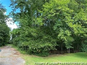 Peach Street Rowland, NC 28383 - Photo 5 of 5 a view of a lush green forest