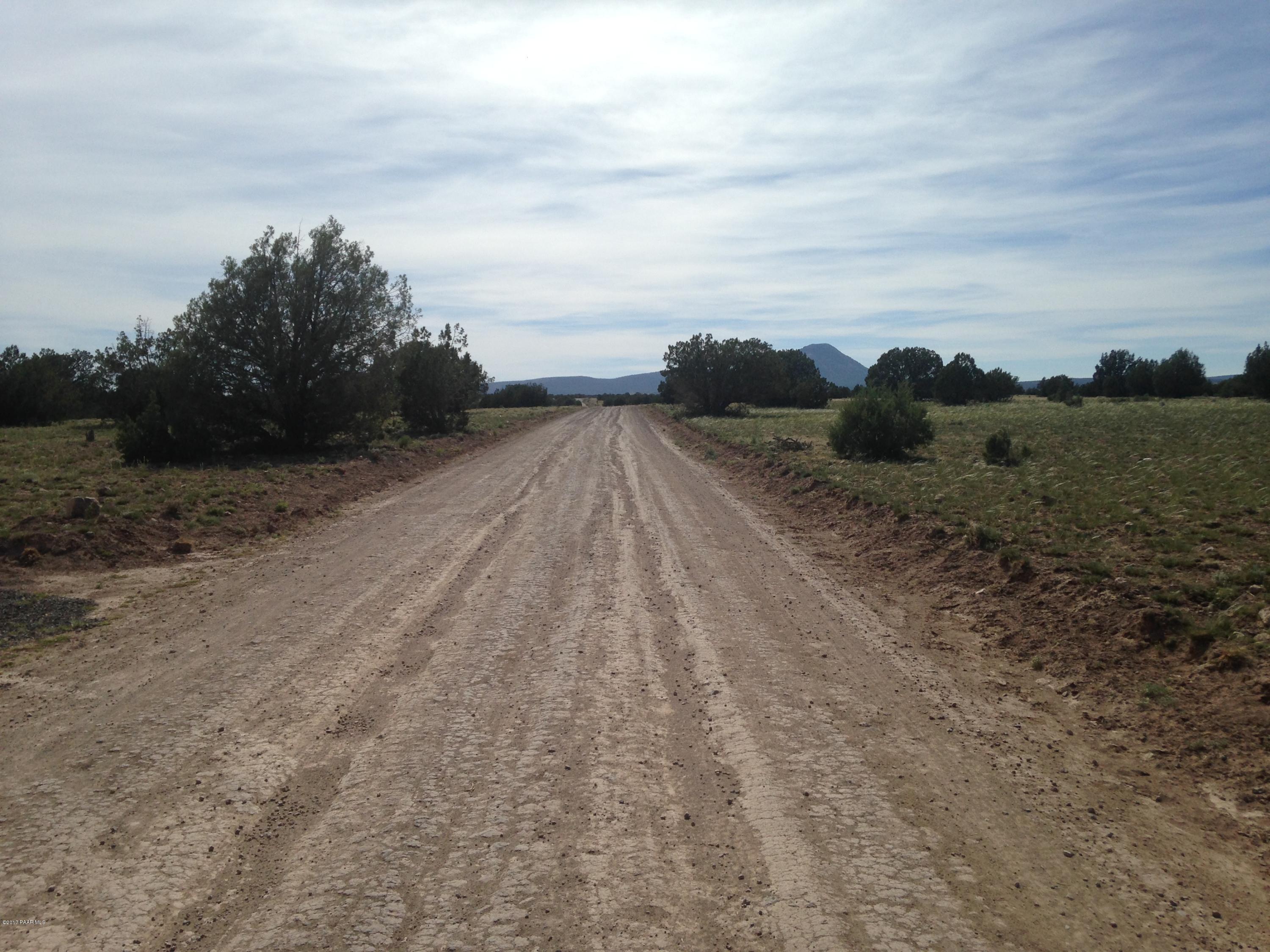 33 Antelope Run Road Ash Fork, AZ 86320 - Photo 2 of 9 IMG_3831