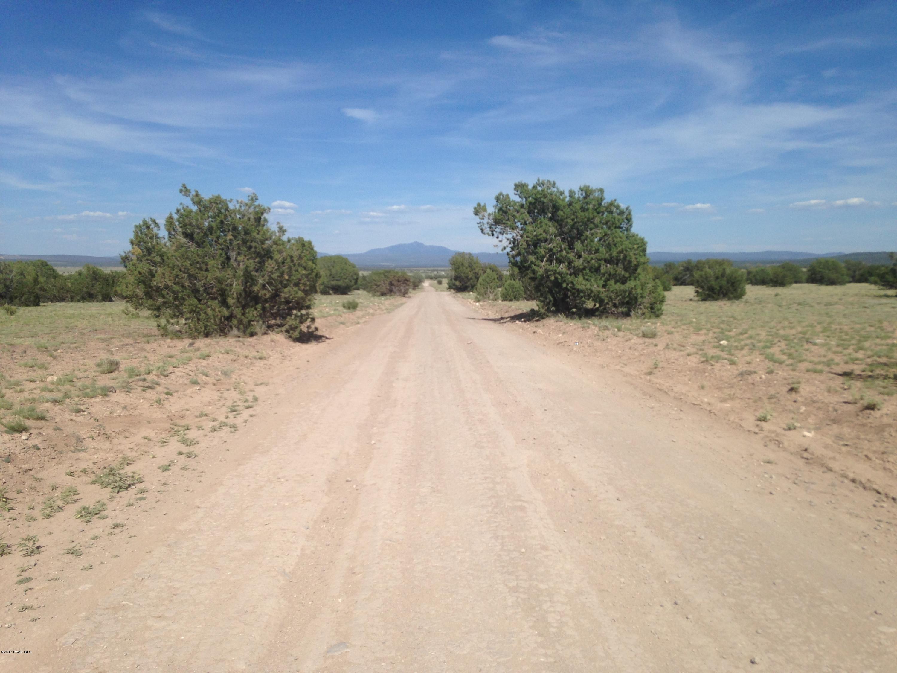 33 Antelope Run Road Ash Fork, AZ 86320 - Photo 3 of 9 IMG_3832