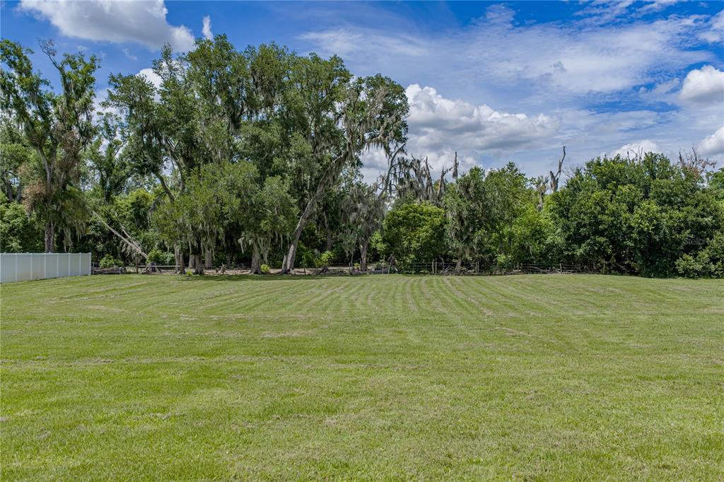 14080 Sydney Road Dover, FL 33527 - Photo 22 of 100