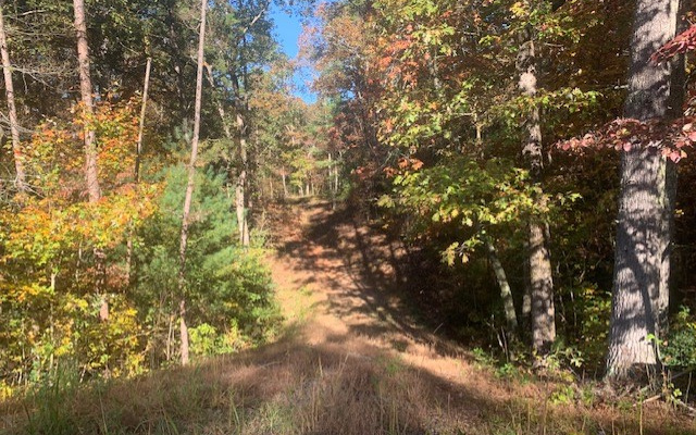 Lt5 Lt5 Chimney Ridge Ellijay, GA 30540 - Photo 1 of 1 Main View