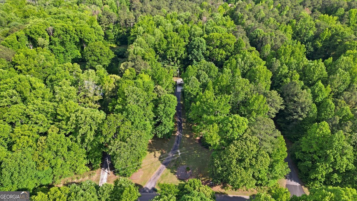 265 Floyd Road Hampton, GA 30228 - Photo 59 of 64 a view of a lush green forest