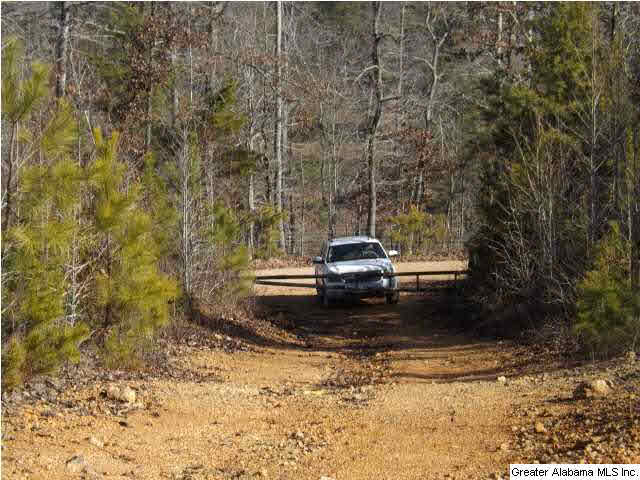 286 County Road, Unit 85 Collinsville, AL 35961 - Photo 3 of 23