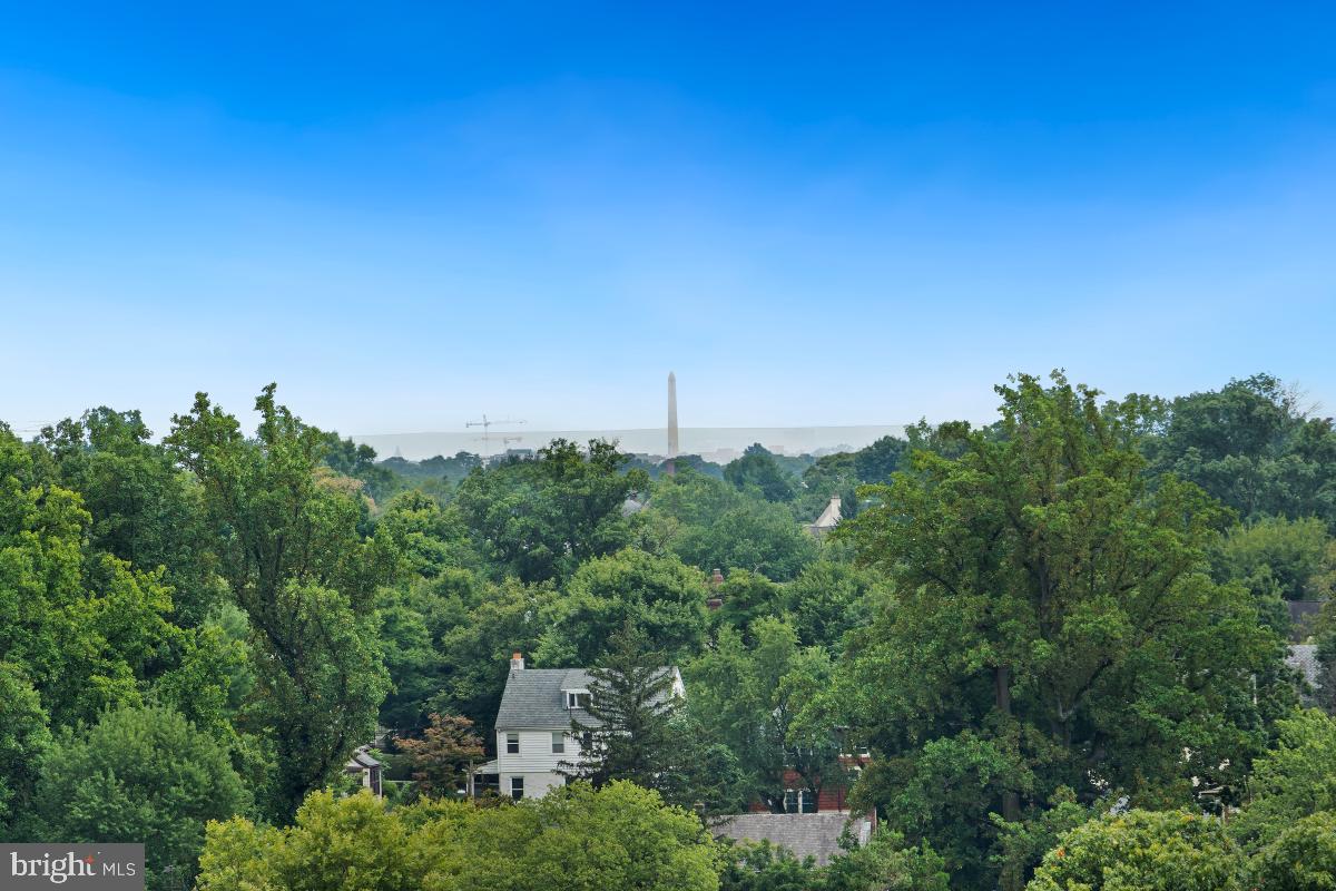 1220 Blair Mill Road, Unit 1205 Silver Spring, MD 20910 - Photo 20 of 45