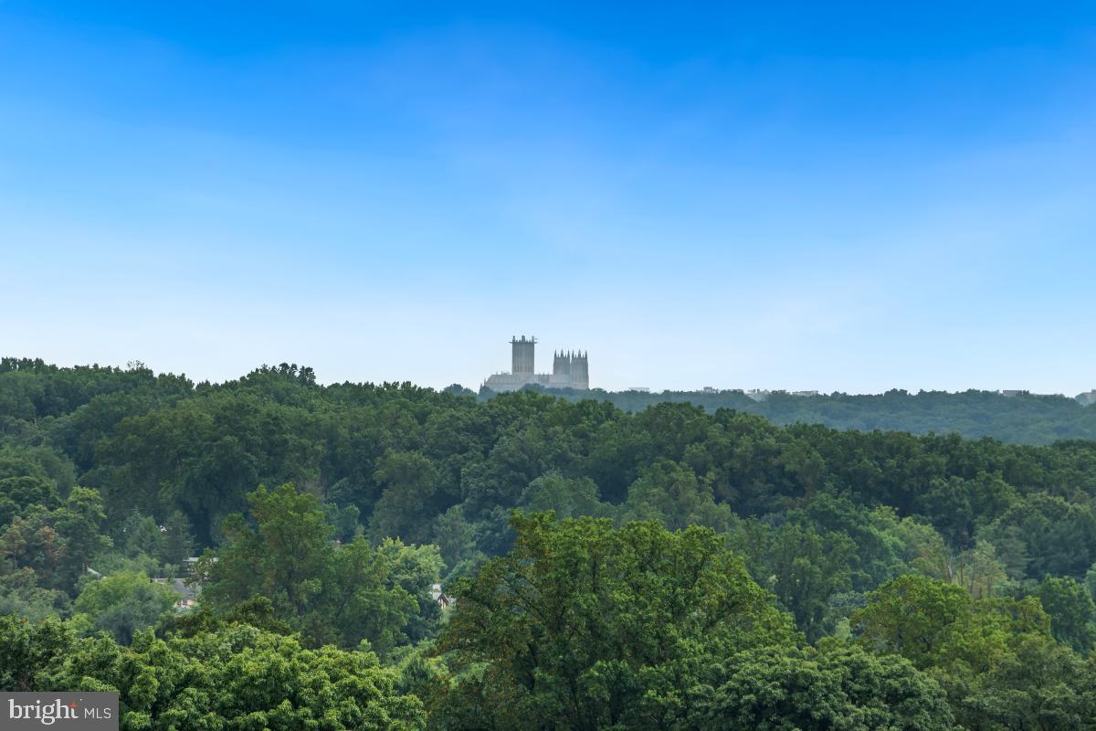 1220 Blair Mill Road, Unit 1205 Silver Spring, MD 20910 - Photo 28 of 45