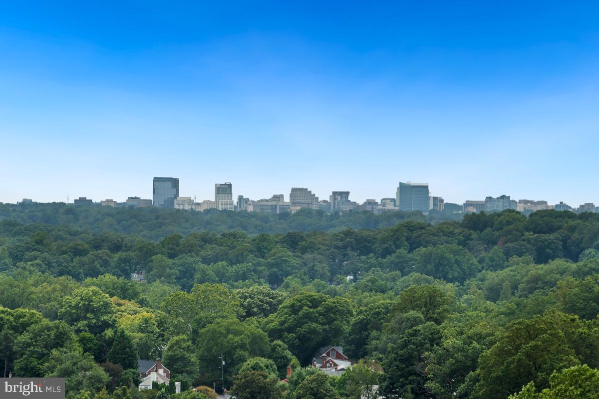 1220 Blair Mill Road, Unit 1205 Silver Spring, MD 20910 - Photo 29 of 45