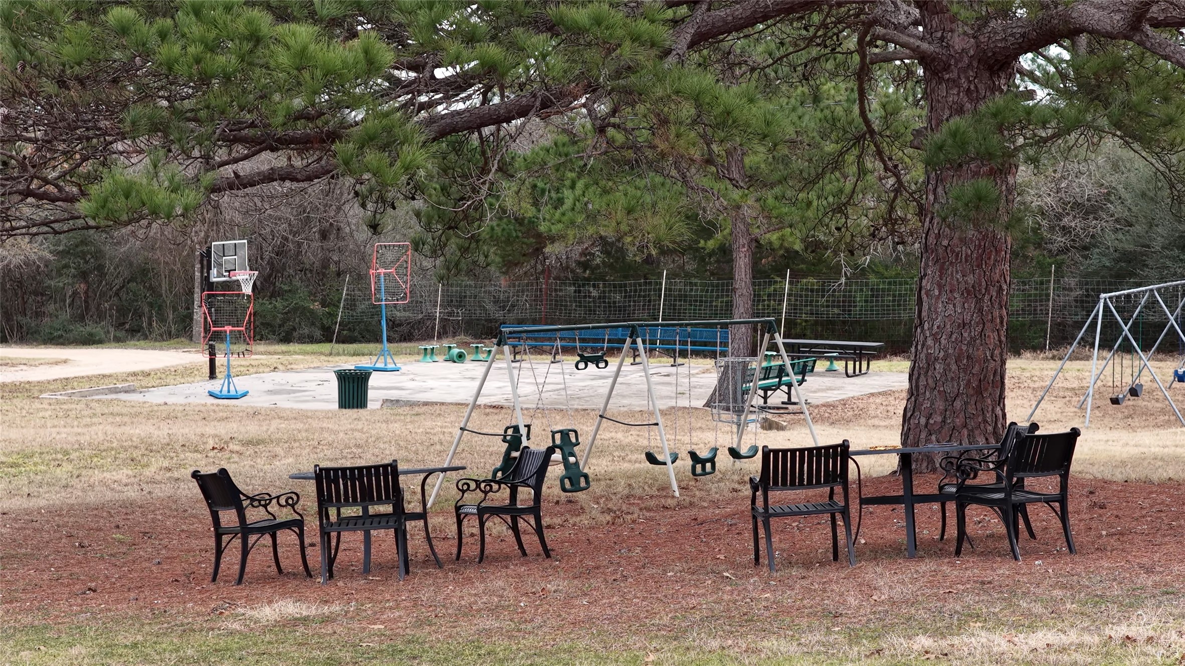 182 Little Ranch Road Red Rock, TX 78662 - Photo 5 of 40