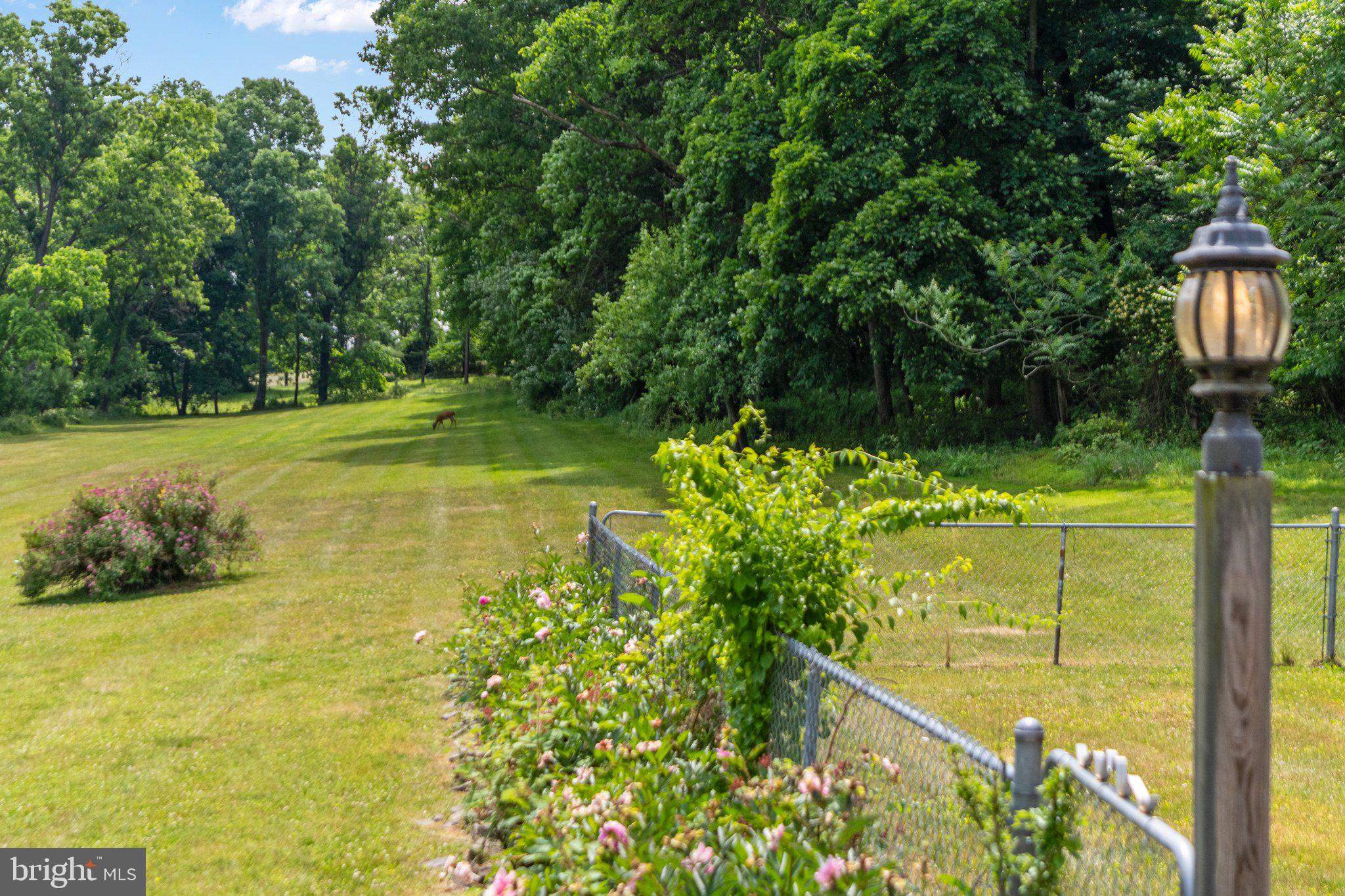 65 Center Road Douglassville, PA 19518 - Photo 45 of 52