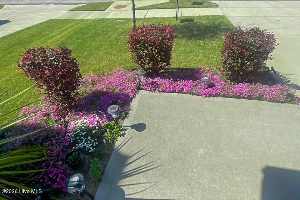 754 Justify Loop Graniteville, SC 29829 - Photo 31 of 39 Flowers!