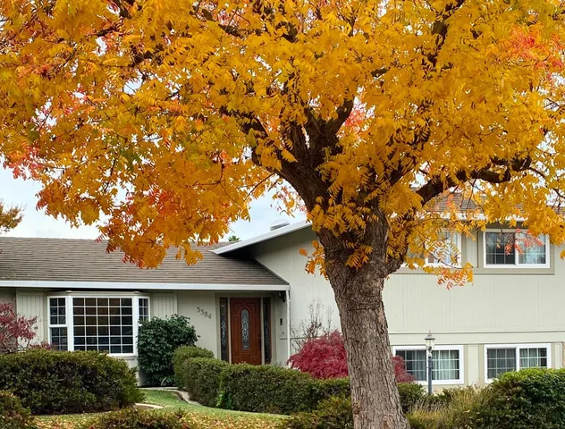 $5,400 | 3384 Burgundy Drive, San Jose, CA 95132