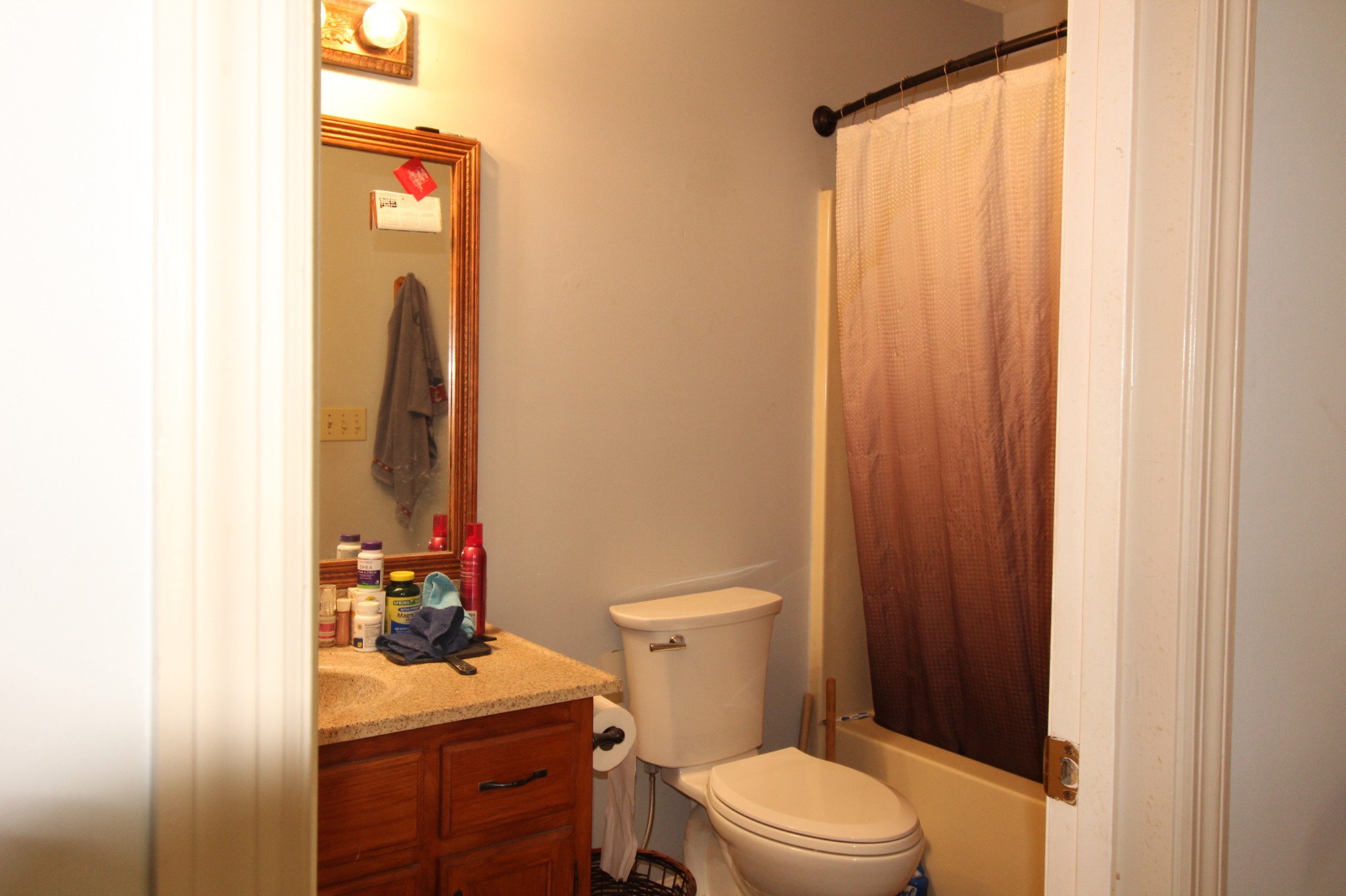 3721 Armstrong Road Springfield, TN 37172 - Photo 7 of 9 a bathroom with a sink a toilet and shower curtain