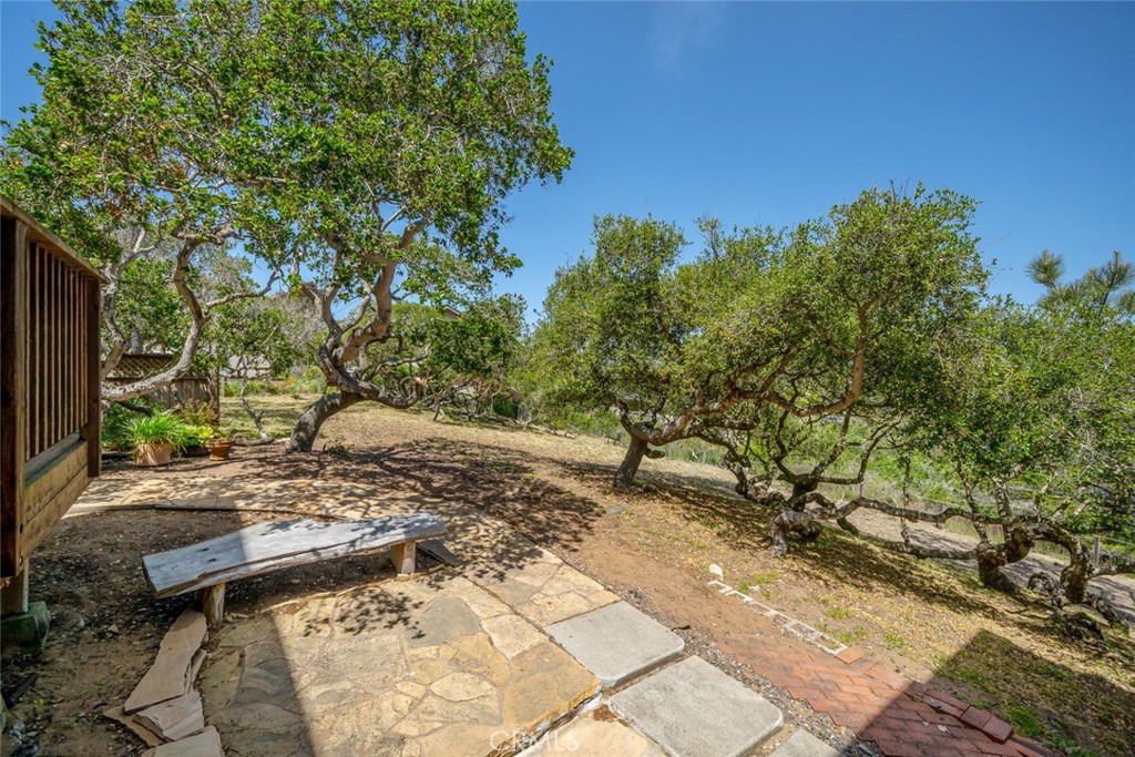 1515 9th Street Los Osos, CA 93402 - Photo 48 of 69 a view of a yard with plants and trees