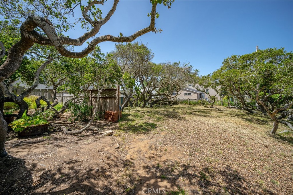 1515 9th Street Los Osos, CA 93402 - Photo 54 of 69 a backyard of a house with lots of green space