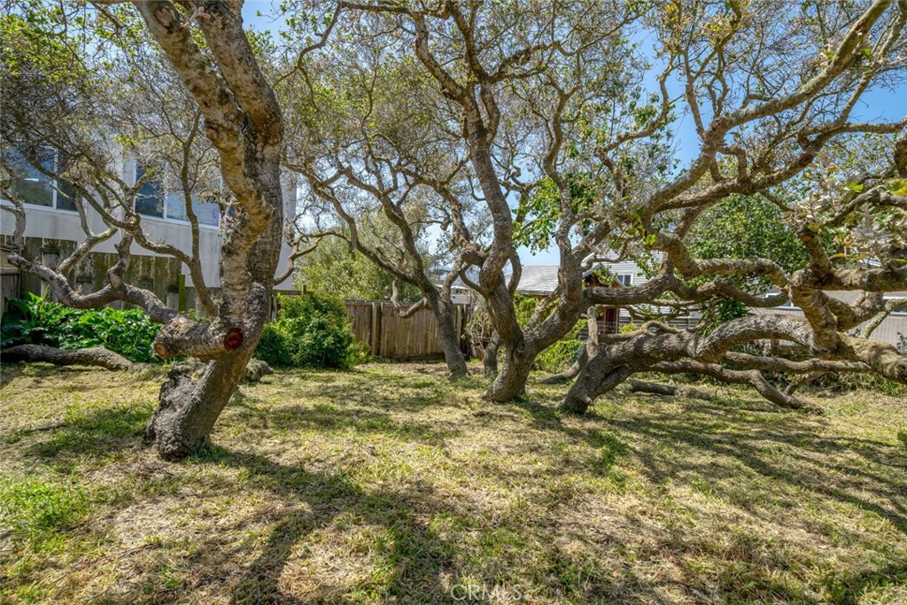 1515 9th Street Los Osos, CA 93402 - Photo 55 of 69 a view of outdoor space