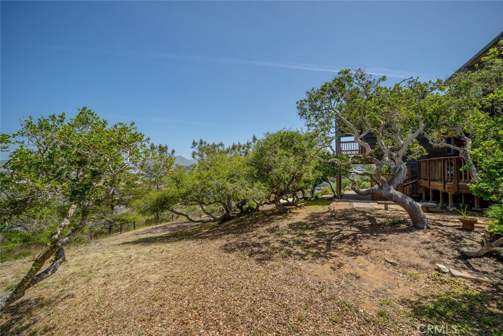 1515 9th Street Los Osos, CA 93402 - Photo 56 of 69 a backyard of a house with lots of green space