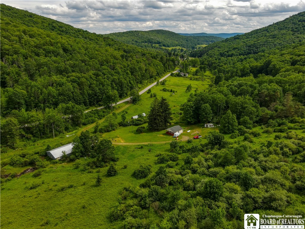 1605 Lillibridge Road Olean, NY 14760 - Photo 46 of 49