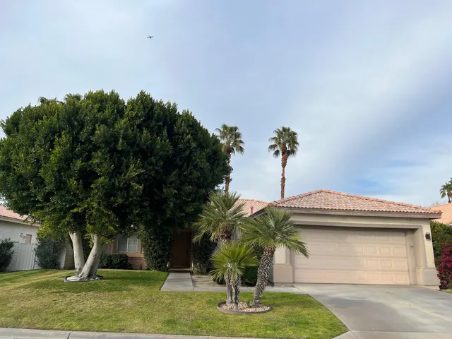 a house with palm tree in front of it
