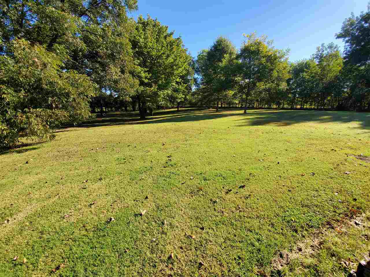 7470 Edith-Nankipoo Road Ripley, TN 38063 - Photo 14 of 16