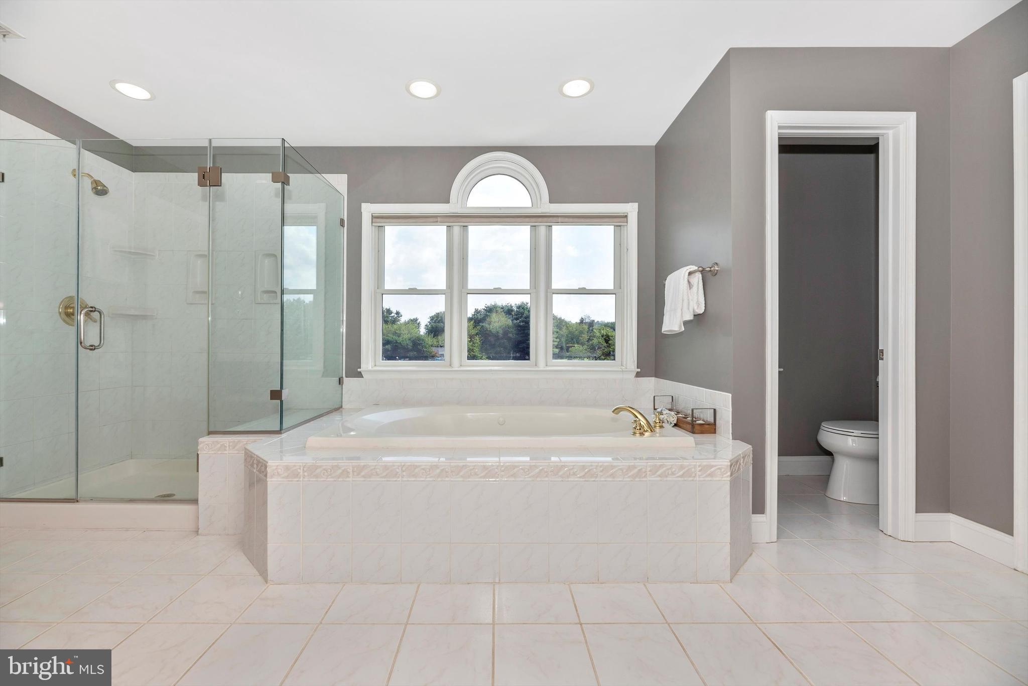 2945 Lonesome Dove Road Mount Airy, MD 21771 - Photo 36 of 66 Primary Bath has Jacuzzi Tub & Separate Shower