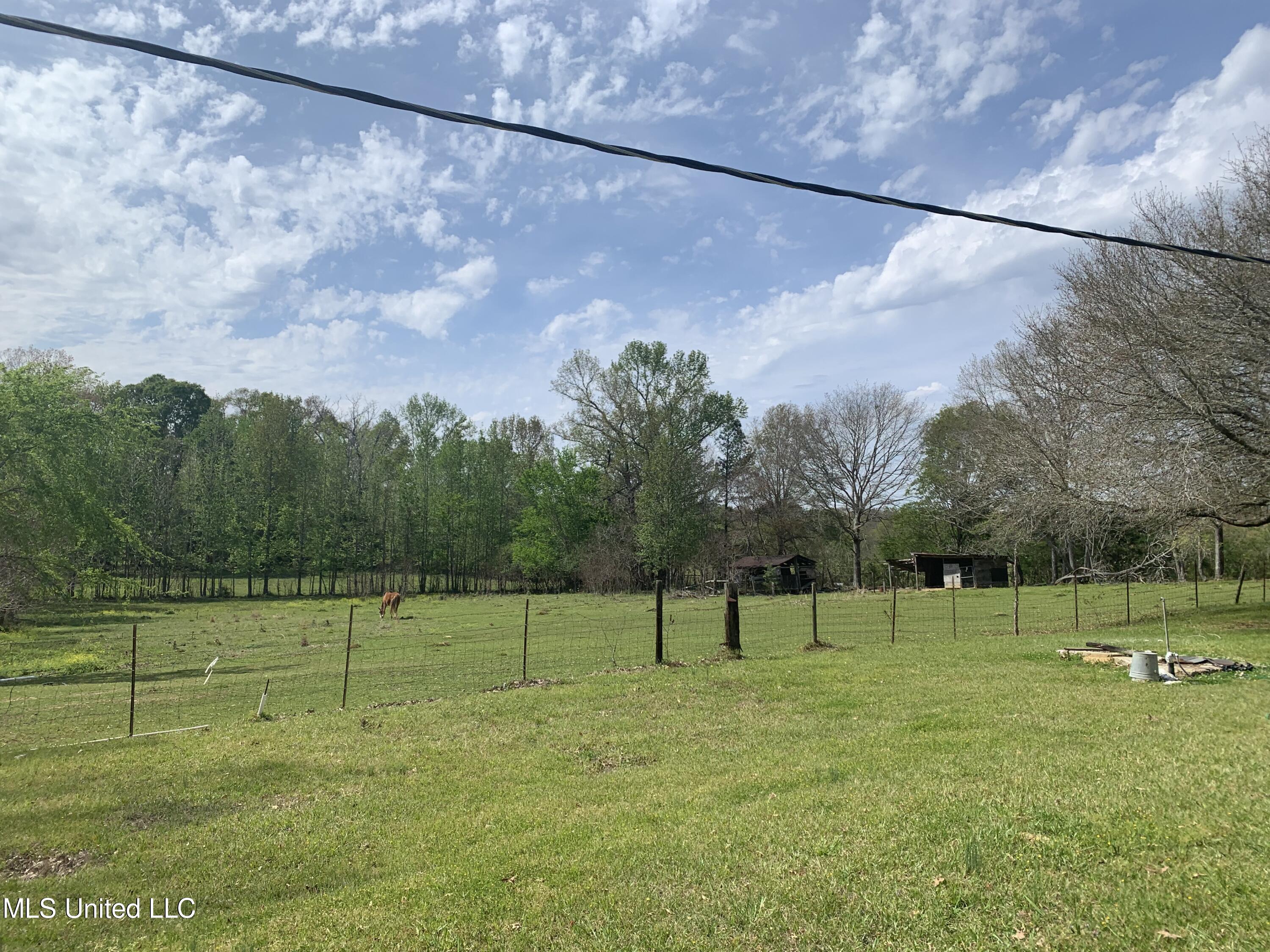 4002 Snake Creek Road Raymond, MS 39154 - Photo 20 of 22 IMG_1336