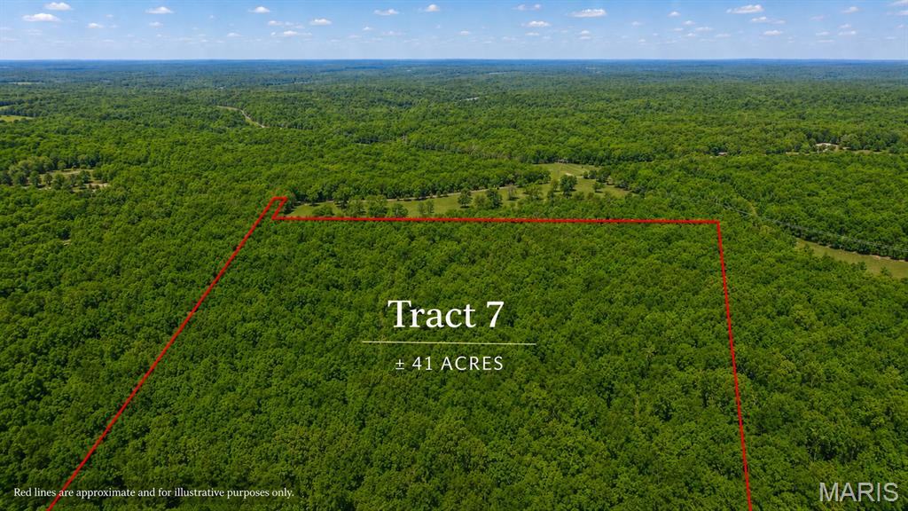 Tract 7 County Rd 4210 Salem, MO 65560 - Photo 1 of 6