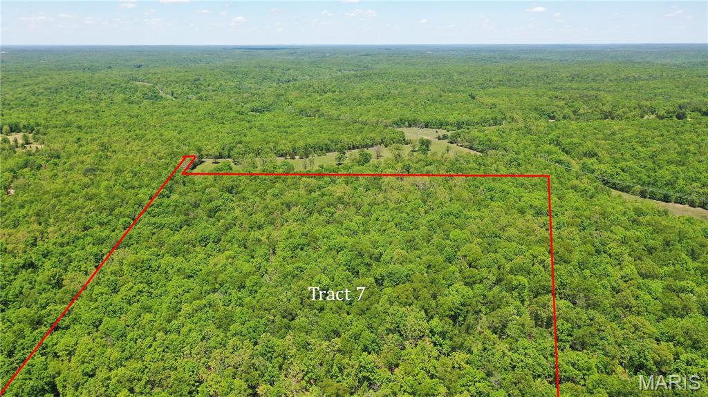 Tract 7 County Rd 4210 Salem, MO 65560 - Photo 6 of 6