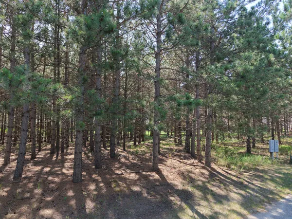 $39,000 | 1115 Sunset Loop, Unit 27, Park Rapids, MN 56470