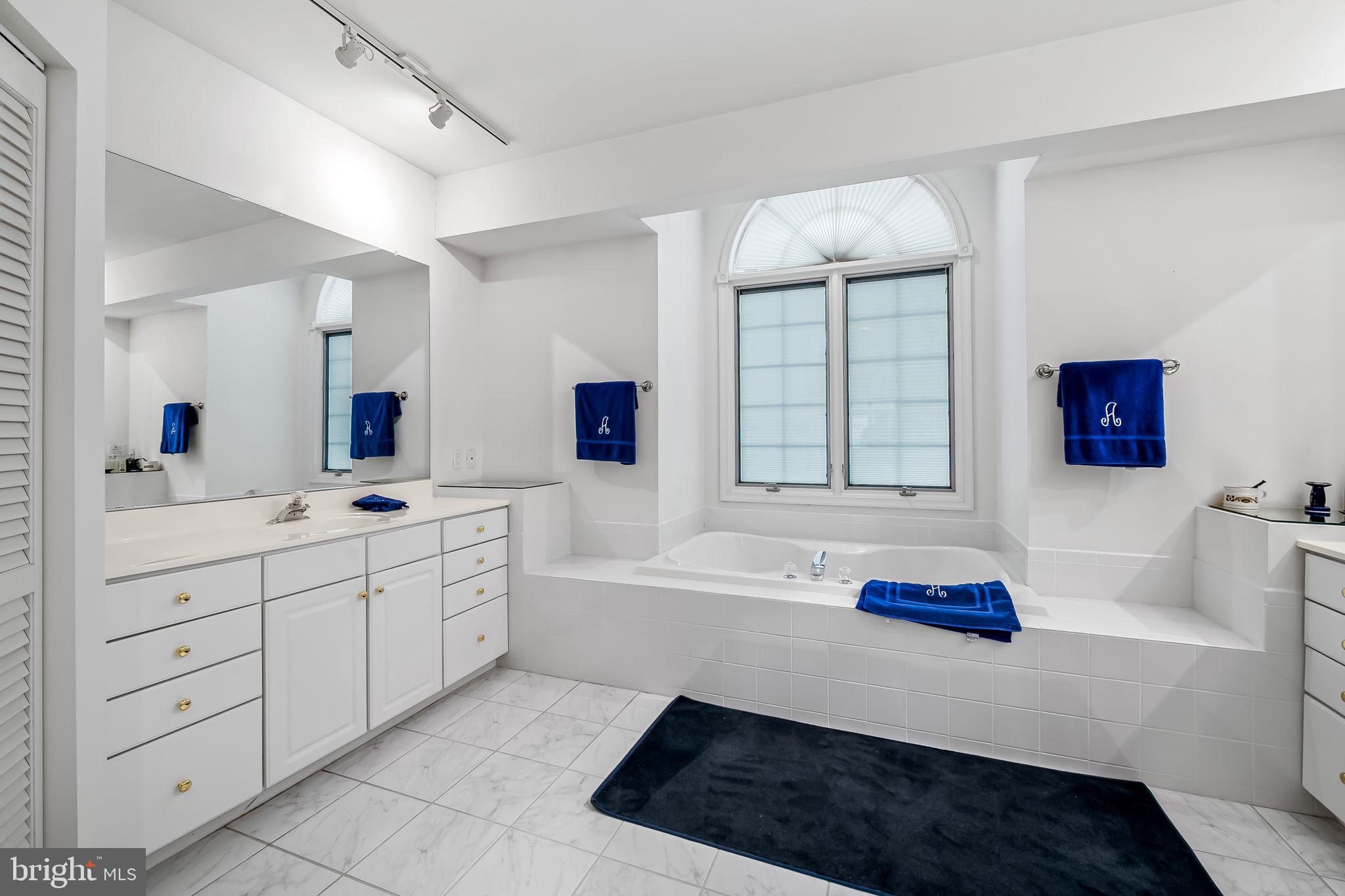 16 Roland Green, Unit 8 Baltimore, MD 21210 - Photo 30 of 55 a spacious bathroom with a tub sink and mirror