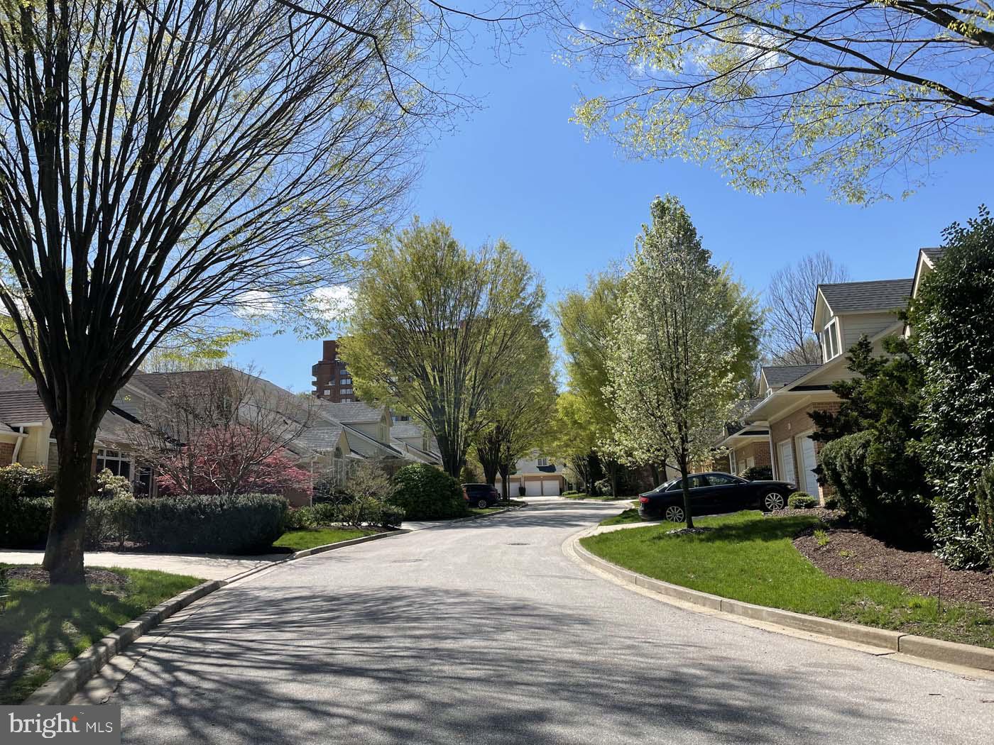 16 Roland Green, Unit 8 Baltimore, MD 21210 - Photo 52 of 55 a view of outdoor space and yard