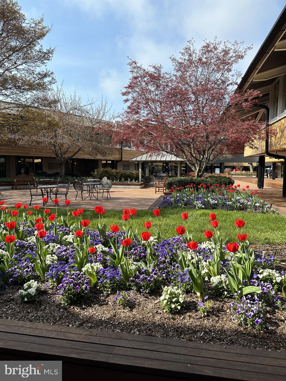 16 Roland Green, Unit 8 Baltimore, MD 21210 - Photo 55 of 55