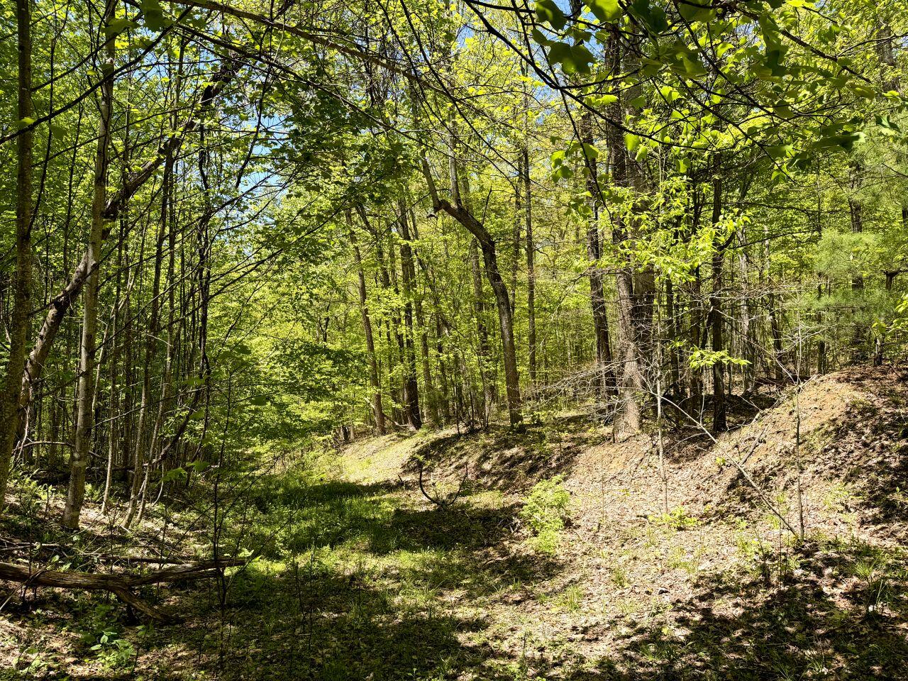 0 Iona Road White Oak, WV 25989 - Photo 148 of 150 Tract-17-IMG_4540