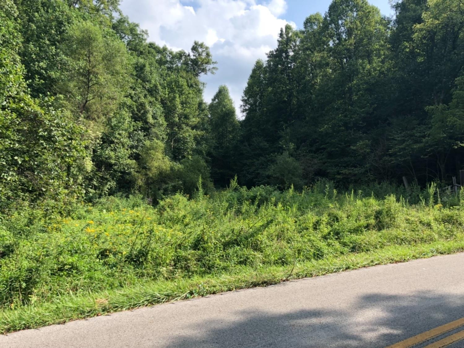 1397 Robinson Creek Road Manchester, KY 40962 - Photo 2 of 2 Photo 2