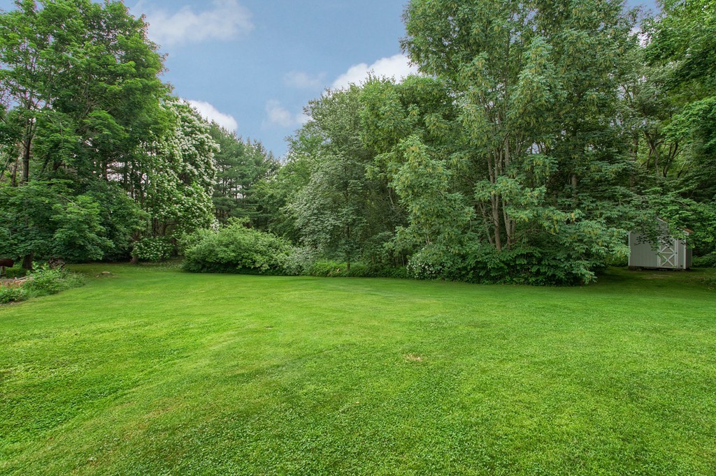 10 Farley Brook Road Chelmsford, MA 01824 - Photo 24 of 30 a view of a green yard