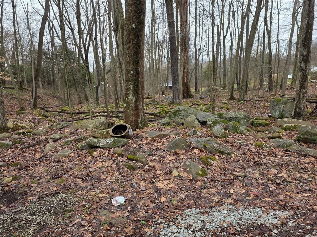 238 Solomon Temple Road Latrobe, PA 15650 - Photo 6 of 12