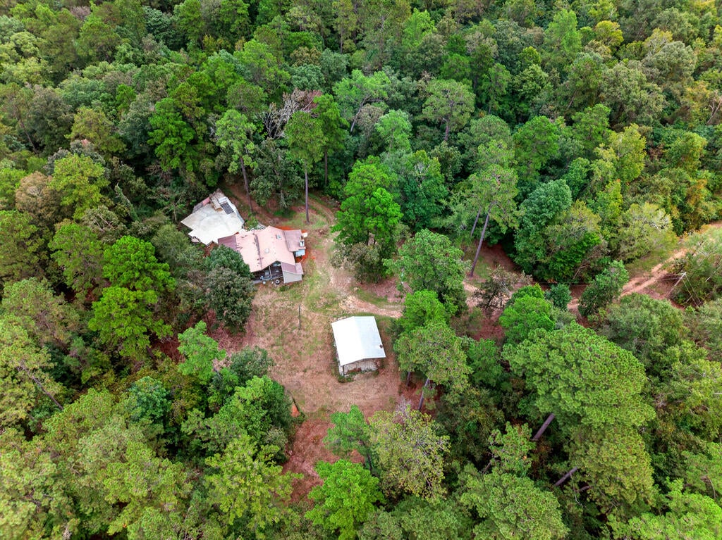248 Albert Prince Road Carriere, MS 39426 - Photo 54 of 56 Gallery Image 54