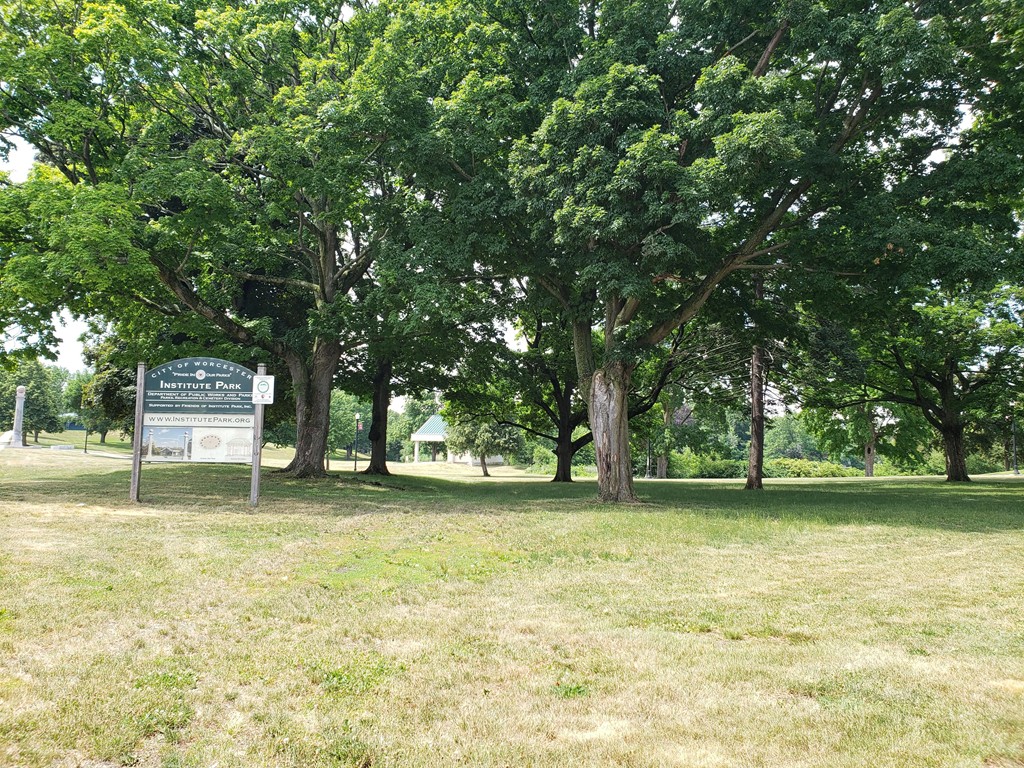 80 Salisbury Street, Unit 303 Worcester, MA 01609 - Photo 5 of 17 a house with trees in front of it