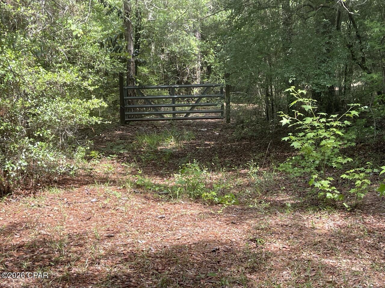 0 Avon Street Chipley, FL 32428 - Photo 6 of 15